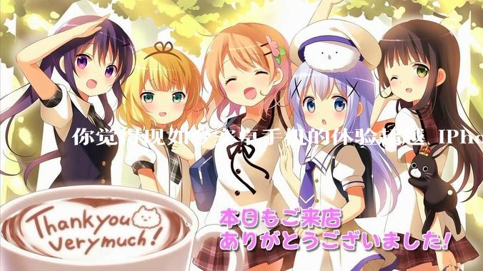 你觉得现如今安卓手机的体验超越 iPhone 了吗？